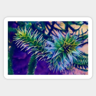 Monkey Puzzle Tree - Blue Sticker